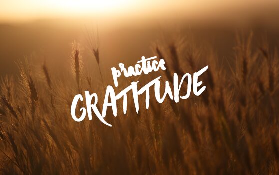Gratitude is considered by many to be the healthiest of all human emotions. Don't wait, start expressing some gratitude today!