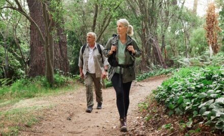 The Joy of Hiking: Connecting with Nature, Embracing Challenges, and Boosting Wellness