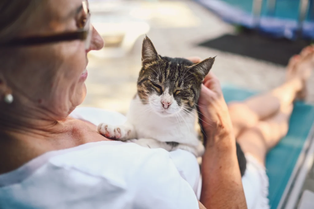 Best Cat Breeds for Seniors | Sodalis Living