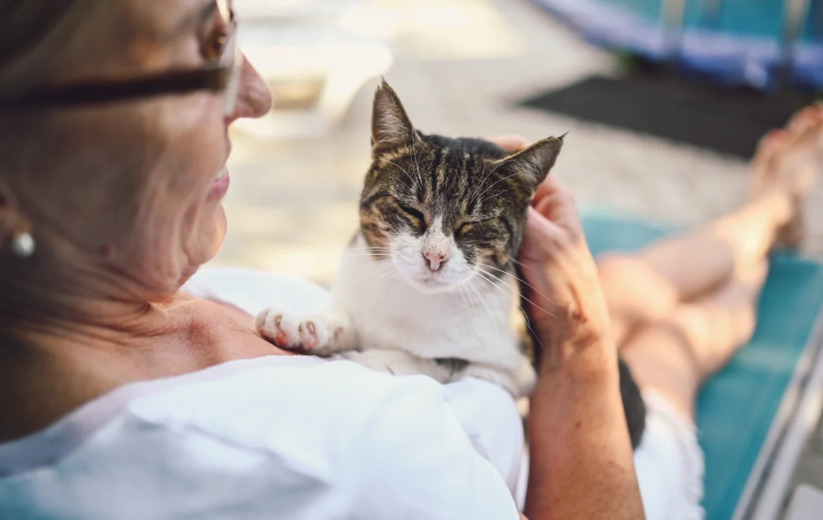 Protected: The Purrfect Retirement Friend: Best Cat Breeds for Seniors