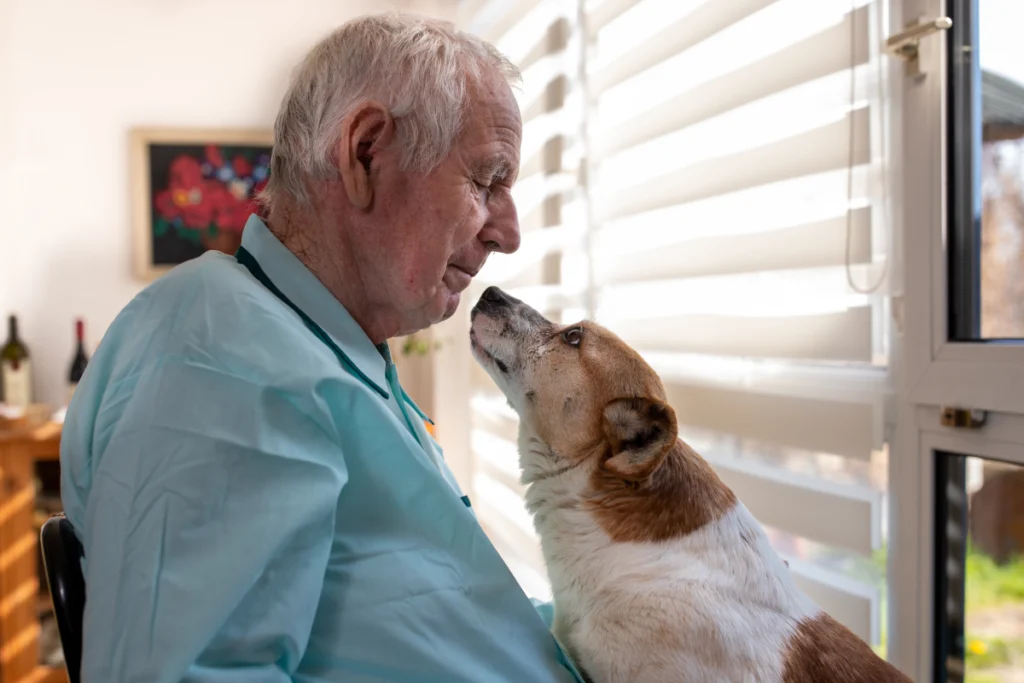 Best Dogs for Seniors and Pet-Friendly Senior Living