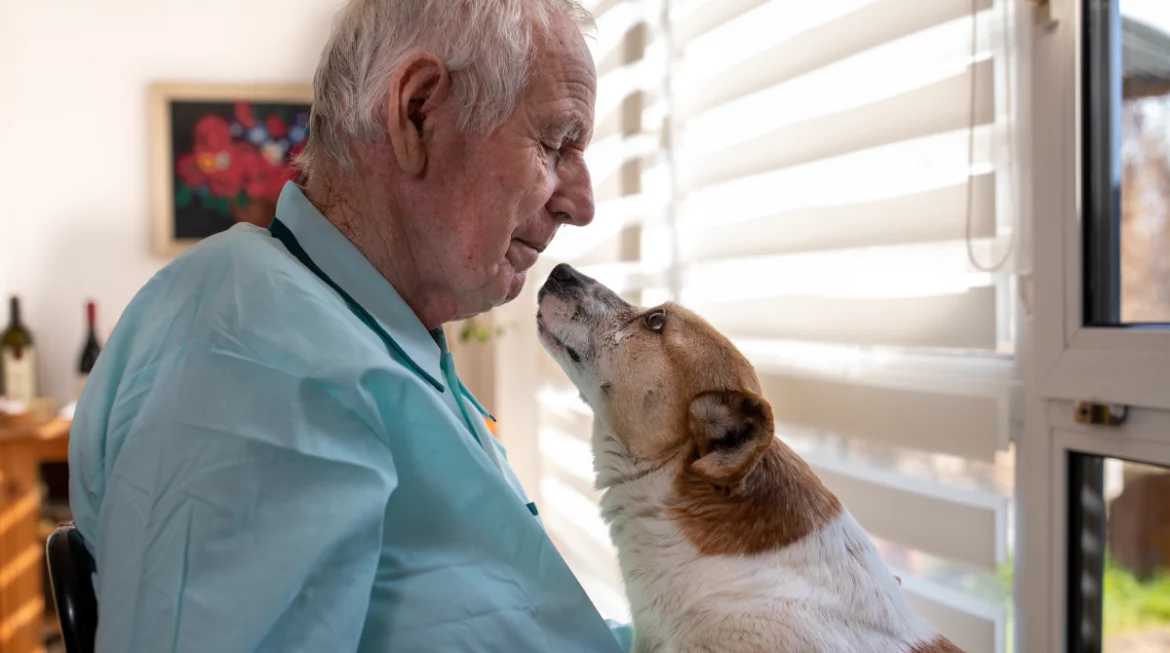 Protected: Finding the Perfect Companion: Best Dogs for Seniors