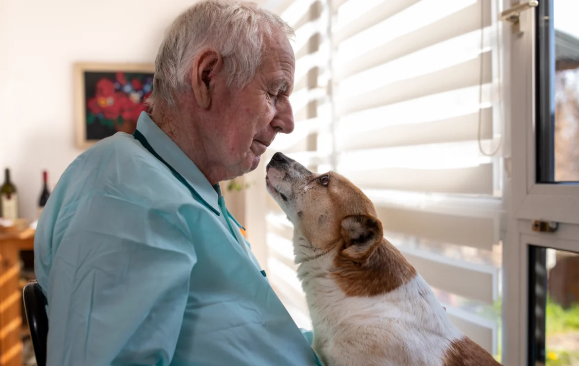 Protected: Finding the Perfect Companion: Best Dogs for Seniors